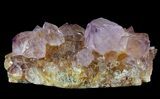 Cactus Quartz (Amethyst) Crystal Cluster - South Africa #64249-1